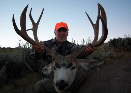 mule deer hunts 3