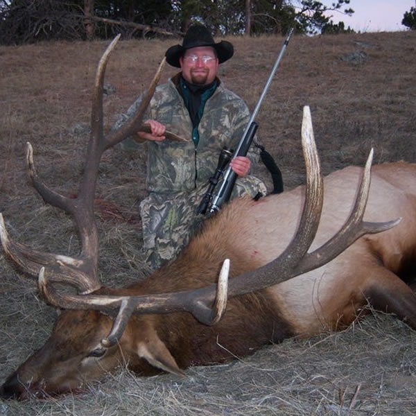 Rifle Elk
