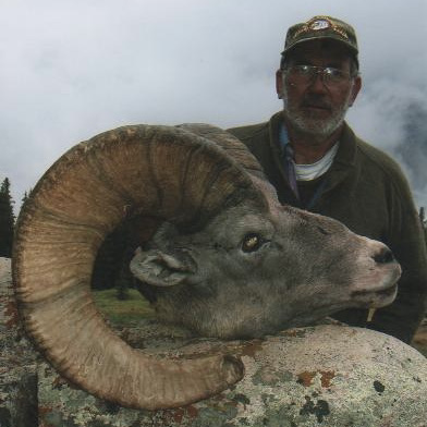 Bighorn Sheep & Shiras Moose